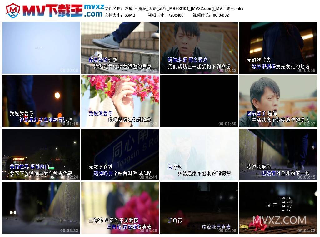 左成-三角花_国语_流行_MB302104